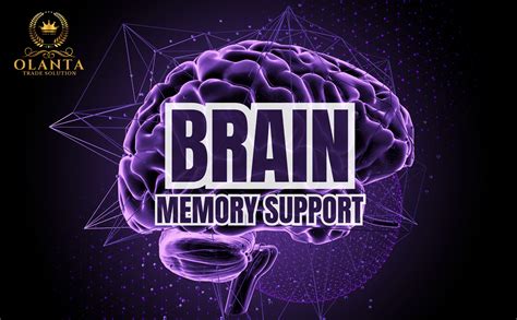 BRAIN MEMORY SUPPORT - Brain vitamins, Memory, Focus, & Clarity, Quick Thinking Supplement Pills ...