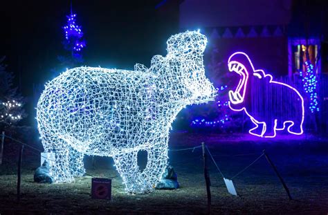 Photos: Calgary Zoo celebrates quarter century of Zoolights - LiveWire Calgary