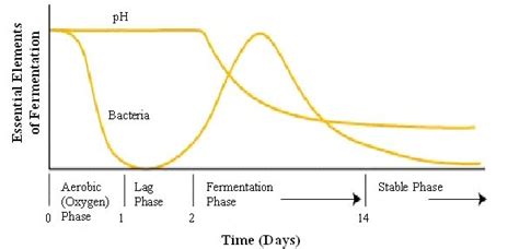 Province of Manitoba | agriculture - Corn Stover and Silage