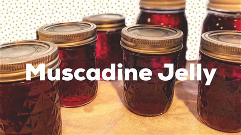 Muscadine Jelly Recipe Sure Jell | Besto Blog