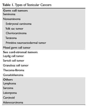 Testicular Cancer: Diagnosis and Treatment | MDedge Hematology and Oncology