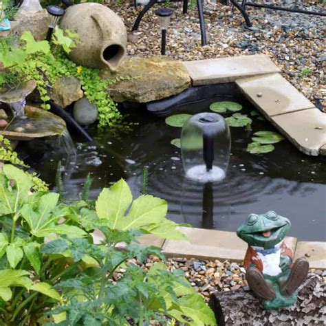 30 Wildlife Pond Design Ideas for Animals & Critters - Pond Informer