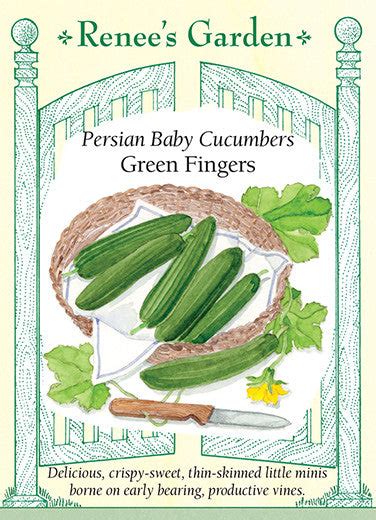 'Green Fingers' Persian Baby Cucumbers | Renee's Garden Seeds