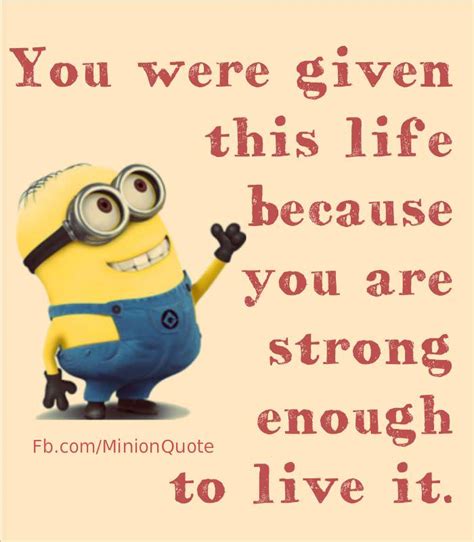 Funniest Minion Quotes and Pictures Of The Week