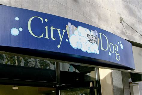 Home | citydogsd.com