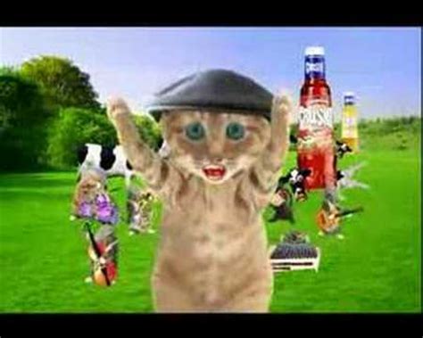 Crusha kittens TV commercial – Rathergood