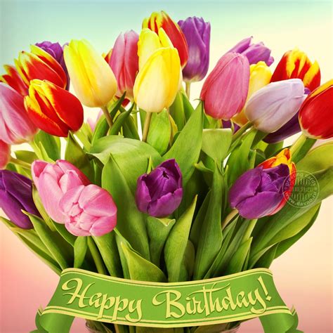 Birthday card with tulips — Download on Funimada.com