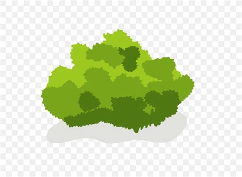 Shrub Tree Drawing Clip Art, PNG, 600x600px, Shrub, Cartoon, Drawing ...