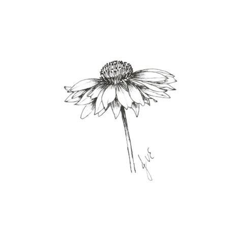 a black and white drawing of a flower