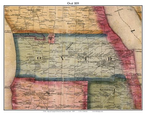 Ovid 1859 Old Town Map With Homeowner Names New York State | Etsy