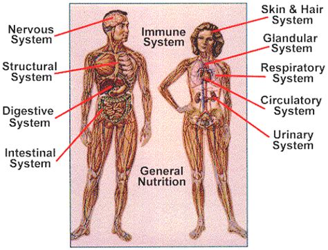 Functions of Food - 9 Food Tech