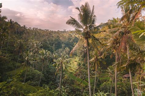 Gunung Kawi: The Temple Built by a Giant - Miles & Smiles Away