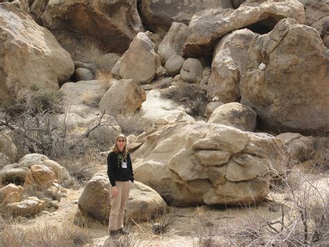 JOSHUA TREE LOCATION: Has the same rock formations as Joshua Tree National Park without the ...