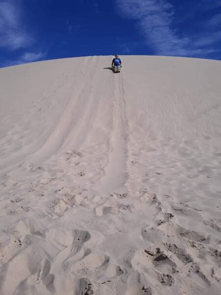 Sand Surfing at Monahans Sand Dunes: Monahans Sandhills State Park