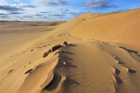 Silver Lake Sand Dunes Photograph by Dean Pennala - Fine Art America