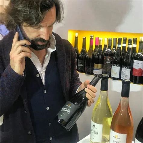 Celebrities Who Owns Wineries – Andrea Pirlo in 2024 | Andrea pirlo ...