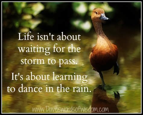 Daveswordsofwisdom.com: Dance In The Rain