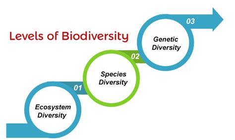 Levels of Biodiversity - Javatpoint