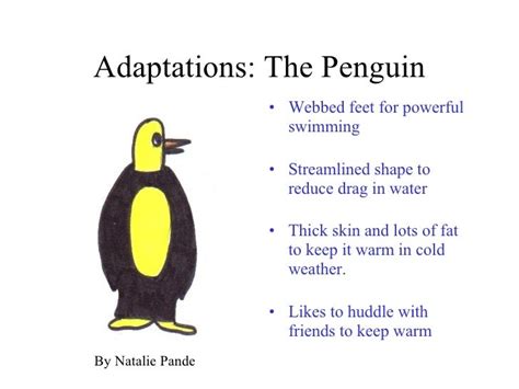 Adaptations1