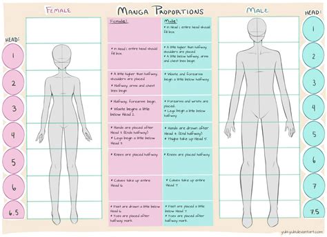 Female and Male Manga Proportion Guide by Yubi-Yubi on DeviantArt | Drawing body proportions ...