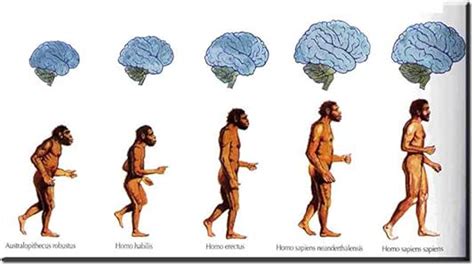 Suuyar The Monkey Brain Evolution to Human Hd Wall Art Paper Canvas Painting Poster for Study ...