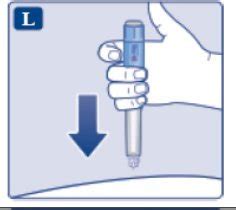 Ozempic: Package Insert / Prescribing Information