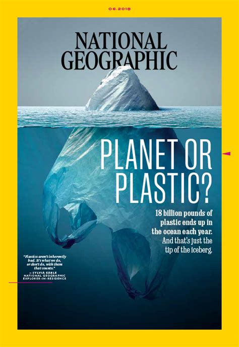 The Plastic Issue