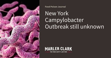 New York Campylobacter Outbreak still unknown | Food Poison Journal