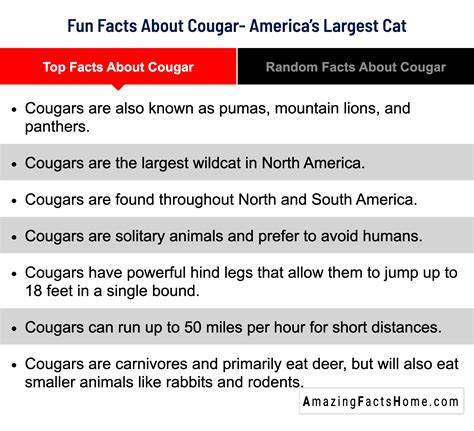 Top Facts About Cougar