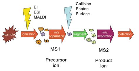 schematic of tandem mass spectrometry (from wikipedia) | Download ...