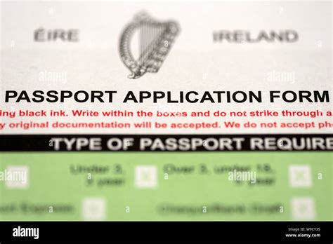 Irish passport application form close-up documentation European Union dual citizenship and ...