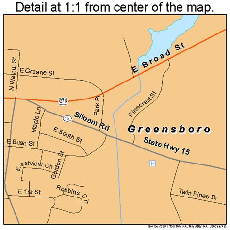 Greensboro Georgia Street Map 1334876