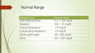 indirect bilirubin normal range - Warren James