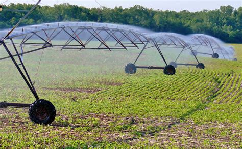 Specialist: Late-planted crops could require early irrigation - Purdue ...