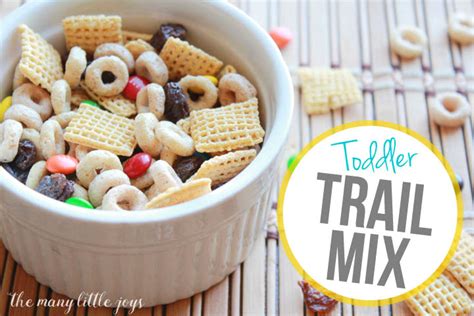 Toddler Trail Mix (perfect for moms on the go) - The Many Little Joys