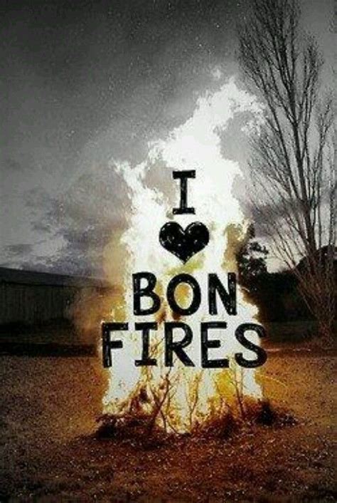 Bonfire Funny Quotes. QuotesGram