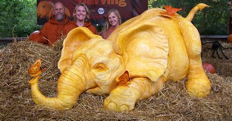 900lb Pumpkin Carving Raises Awareness Of Elephant Killings | Bored Panda