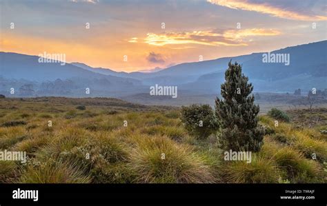 Cradle Mountain National Park View Stock Photo - Alamy