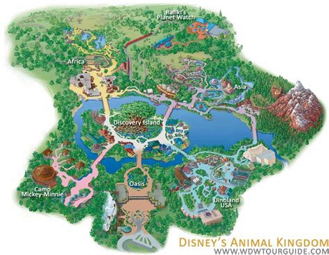 Disney's Animal Kingdom map Theme Park map | Animal kingdom disney ...