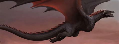 Explore the Best Drogon Art | DeviantArt