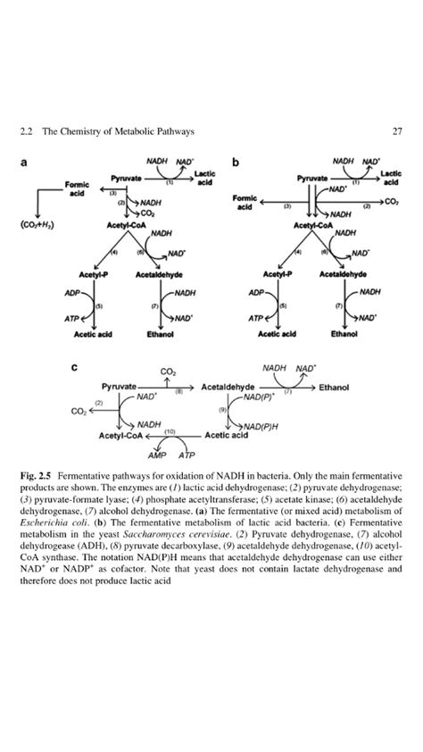 Problem 5.5 Production of propane 1,3-diol (3G) by | Chegg.com