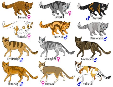 Warrior Cats Oc Names - moveless 2