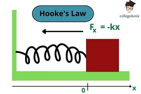 Hooke’s Law Formula: Equation & Solved Examples