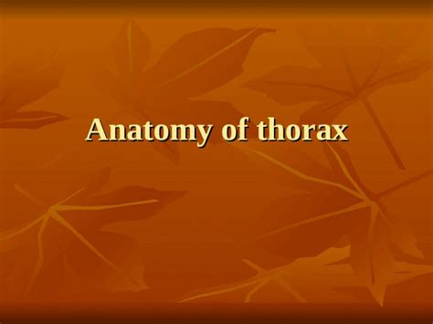 (PPT) Anatomy of thorax. Landmarks – anterior view Supresternal notch ...