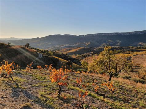 6 Great Priorat Wineries to Visit (+Where to Stay and Eat) - Savored Journeys