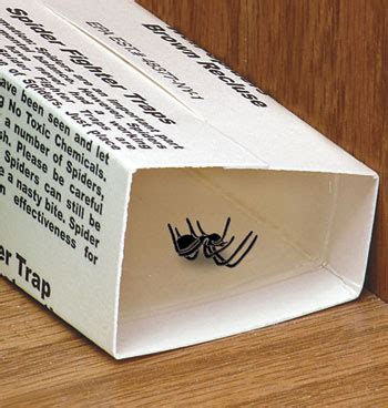 Spider Traps - Spider Sticky Traps - Spider Glue Traps - Easy Comforts