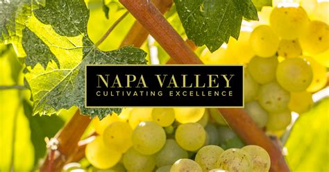 Napa Valley Vintners - Authority on the Napa wine region