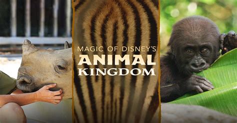 About Magic of Disney's Animal Kingdom TV Show Series