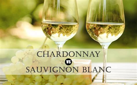 Chardonnay vs Sauvignon Blanc | Comparison - Just Wines Blog | Chardonnay, Sauvignon blanc, Wine ...