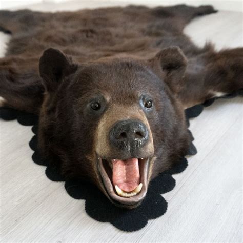 5 Feet 2 Inches Brown Bear Rug